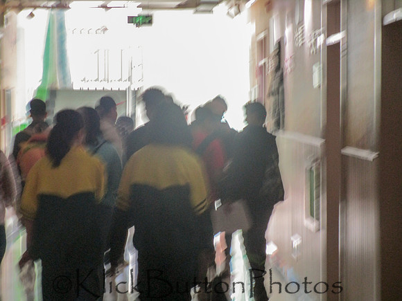 IMG_0794